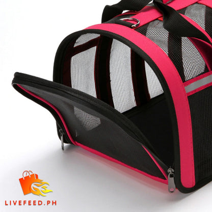 PawVoyage Foldable Pet Travel Carrier (Medium)