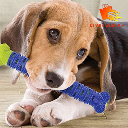 ChewClean 2-in-1 Dog Toothbrush & Chew Toy